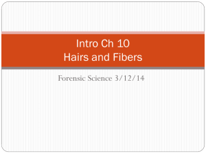 Intro Ch 10 Hairs and Fibers
