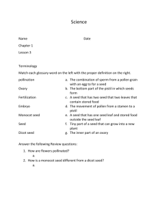 worksheet - The Brown's Learning Pages