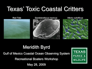 Texas Red Tide - Gulf of Mexico Coastal Ocean Observing System