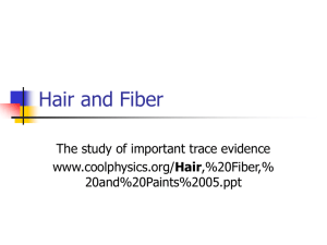 Hair and Fiber Class Information