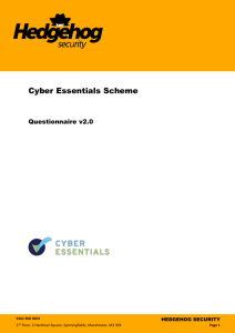 cyber essentials - Hedgehog Security