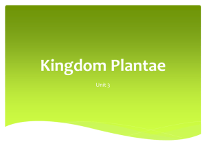 kingdom_plantae