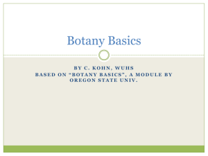 Botany Basics - Center