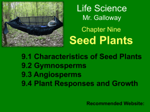 Seed Plants