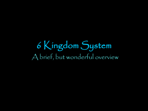 6 Kingdom System
