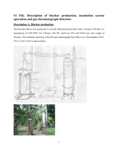 S1 File. Description of biochar production, incubation