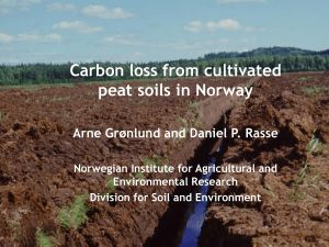 Carbon loss from cultivated peat soils in Norway