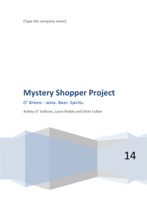 Mystery Shopper Project