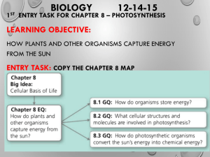 Chapter 8 & 9 Photosynthesis and Cellular Respiration