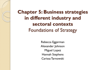 Chapter 5: Business Strategies in different industry and sectoral