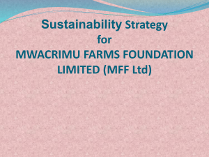 Strategic Paper for MFF Ltd