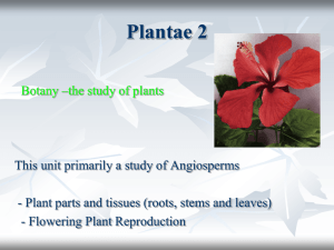 Plant Unit: part 2