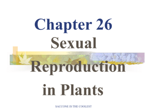 Chapter 24: Plant Reproduction