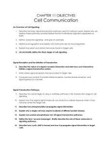 CHAPTER 11 OBJECTIVES Cell Communication An Overview of
