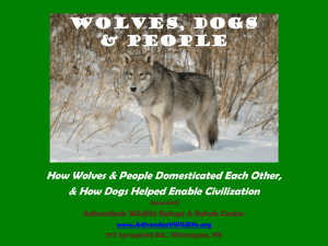 Wolves, Dogs & People - Adirondack Wildlife Refuge