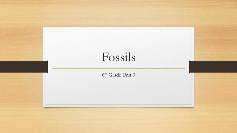 Fossils Grants Pass District 7 Schools