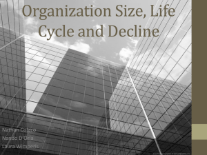Organizational Control Strategies