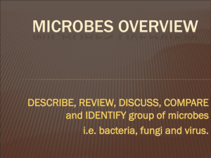 MICROBES OVERVIEW