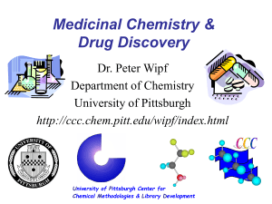 Modern Synthetic Approaches to Drug Discovery