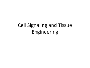 Cell Signaling and Tissue Engineering