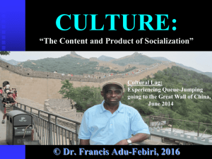 Sociology 100 Lecture 5 Culture
