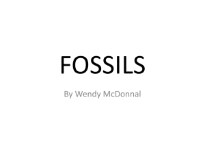 fossils - Science A 2 Z