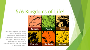 5 Kingdoms of Life - Cellular