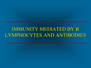 Immunity Mediated by B Cells and Antibodies
