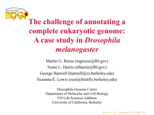 et al - Berkeley Drosophila Genome Project