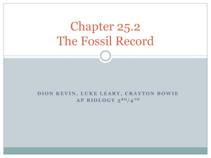 Chapter 25.2 The Fossil Record