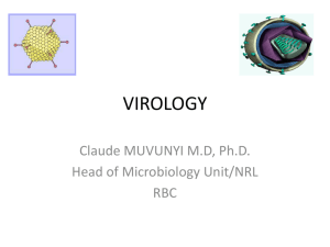 virology - WordPress.com