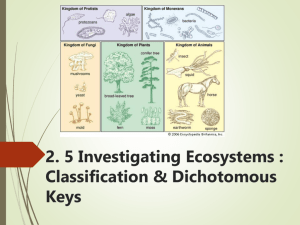 Classification & Keys