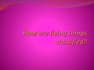That's_Classifiedfor students[1]