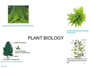 Plant Biology (2.3Mb, ppt)