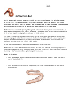 Earthworm Lab for scientific method