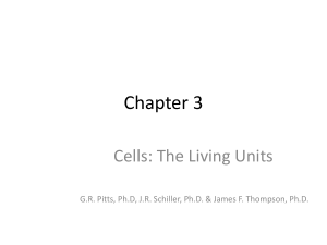 Chapter 3 Cells