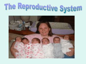 Reproductive Ppt.