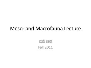 11-21 Macrofauna Lecture C