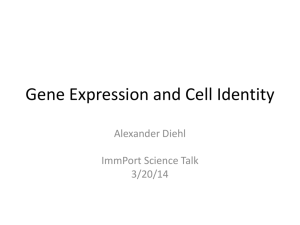 Gene Expression and Cell Identity