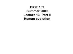 (Part 2) Human evolution