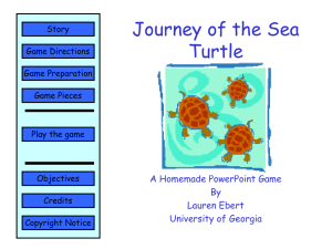 Journey of the Sea Turtle - Grandview C