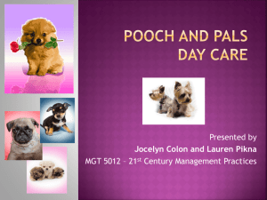 Pooch and Pals Day Care