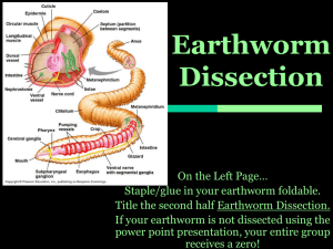 Earthworm Pre lab Worksheet
