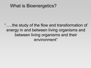 Bioenergetics Model - Center for Limnology