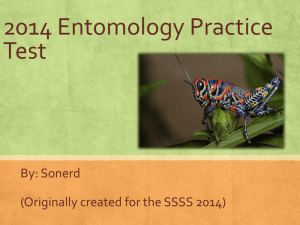 2014 Entomology Practice Test