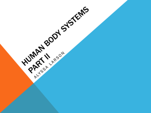 Human Body Systems Part II - local.brookings.k12.sd.us