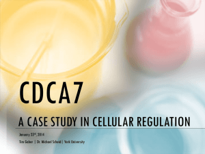 140123 – Cell Reg Lecture - Scheid Signalling Lab @ York University