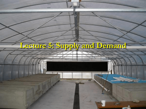 Lecture 3: Demand and Supply