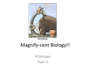Magnify-cent Biology!! - churchillcollegebiblio