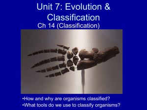 Classification - Mrs. GM Biology 200